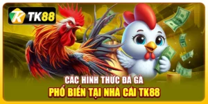 tham gia đá gà TK88