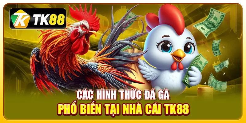 tham gia đá gà TK88