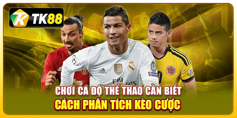 kinh nghiệm cá độ thể thao