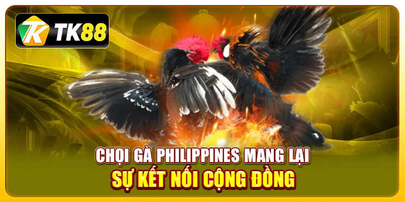 Đá Gà Philippines – Những Điều Cần Biết Và Kinh Nghiệm Chơi Hiệu Quả 3 Chọi gà Philippines mang lại sự kết nối cộng đồng