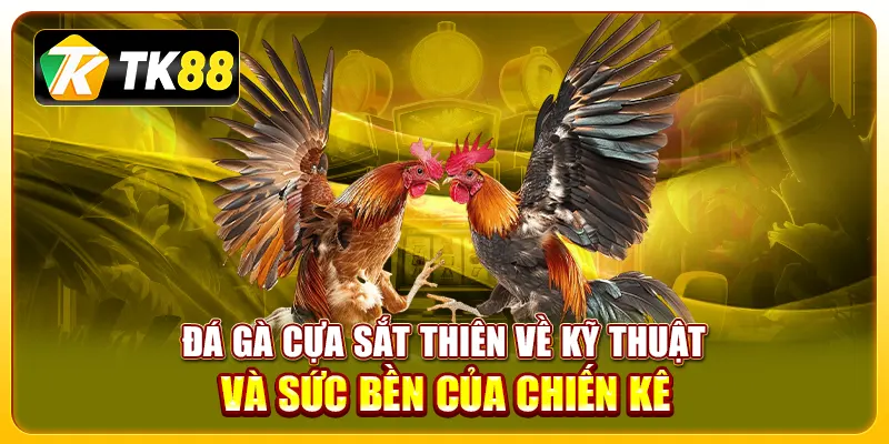 Đá Gà Thomo - Sân Chơi Đỉnh Cao Cho Giới Đam Mê Chọi Gà 3 Đá gà cựa sắt thiên về kỹ thuật và sức bền của chiến kê