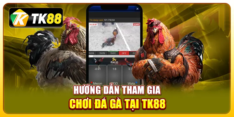Tham Gia Đá Gà Tk88 Dễ Dàng Và An Toàn Cho Người Mới 3 Hướng dẫn tham gia chơi đá gà tại TK88