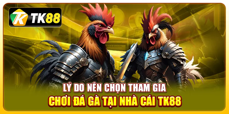 Tham Gia Đá Gà Tk88 Dễ Dàng Và An Toàn Cho Người Mới 2 Lý do nên chọn tham gia chơi đá gà tại nhà cái TK88