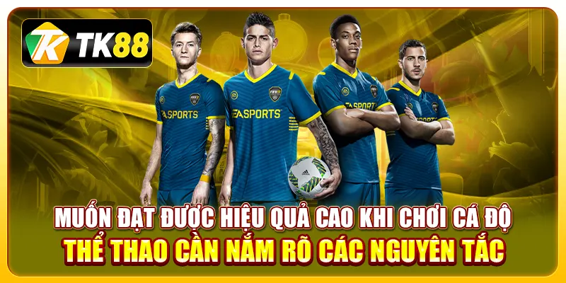 Tiết Lộ Kinh Nghiệm Cá Độ Thể Thao Hiệu Quả Từ Chuyên Gia 2 Muốn đạt được hiệu quả cao khi chơi cá độ thể thao cần nắm rõ các nguyên tắc