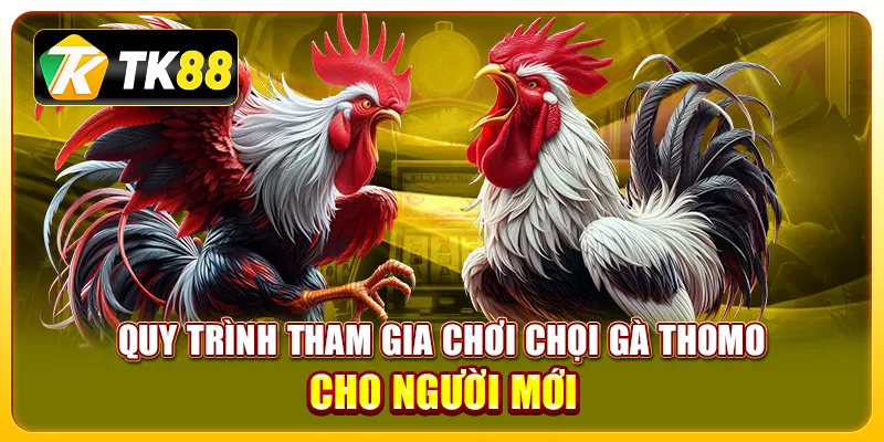 Đá Gà Thomo - Sân Chơi Đỉnh Cao Cho Giới Đam Mê Chọi Gà 4 Quy trình tham gia chơi chọi gà Thomo cho người mới