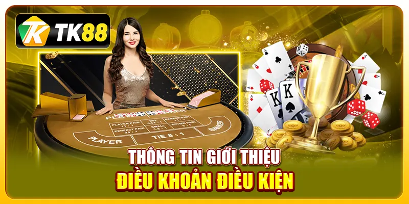Thông tin giới thiệu điều khoản điều kiện