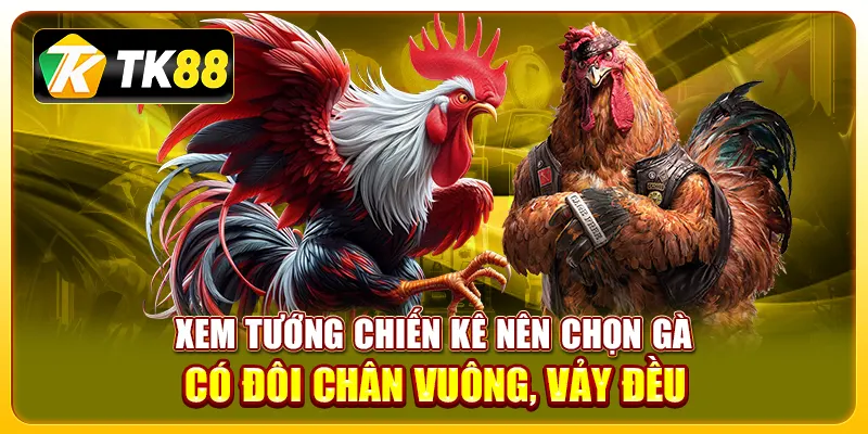 xem tướng gà chọi